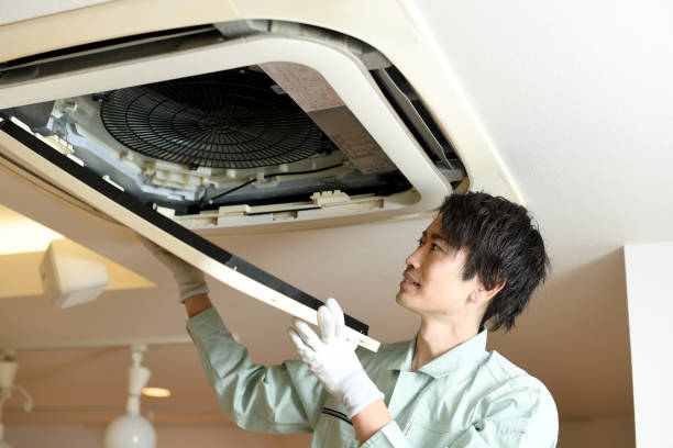 Best Air Duct Cleaning Near Me  in Carrollwood, FL